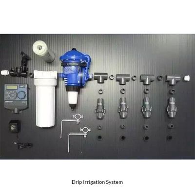 Sistema hidropónico de riego automático vertical de pared verde artificial para proyectos de ecologización