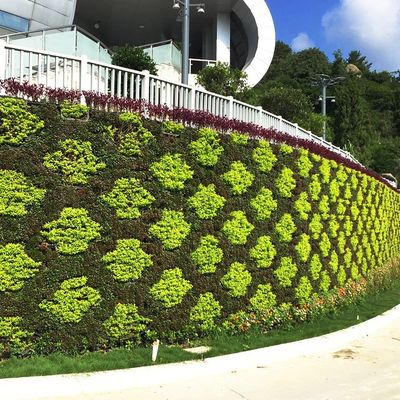Sistema hidropónico de riego automático vertical de pared verde artificial para proyectos de ecologización
