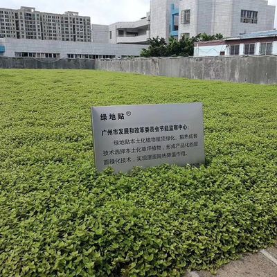 Planta de macetas de flores de jardín de plástico cuadrado con material HDPE y acabado sin revestimiento