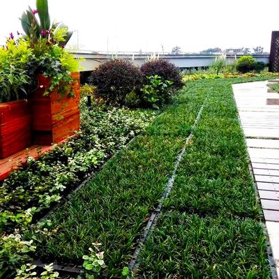 Envases para plantas de 4 unidades cuadradas Accesorios