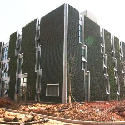 Sistema de jardín vertical de macetas hidropónicas para plantación de plantas y macetas de pared