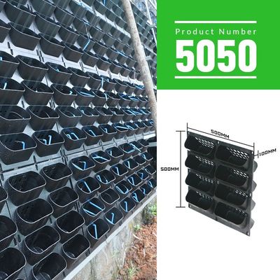 Los productos de la planta de jardín de mosos verticales de planta verde de panel de pared de acabado no recubierto por metro cuadrado 4