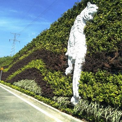 Los productos de la planta de jardín de mosos verticales de planta verde de panel de pared de acabado no recubierto por metro cuadrado 4