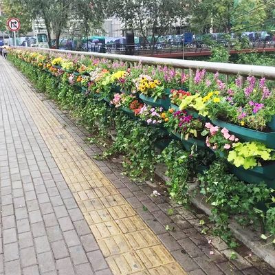 Sistema de diseño de plantación de reloj de rayo de plástico colgante de florero de regadío automático