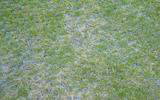 Solución de estacionamiento de hoteles Red resistente a la grava verde con material HDPE reforzado