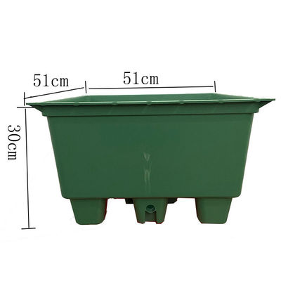 Cuadrado de forma Sedum Green Roof Tray para gran jardinero de plástico y planta verde