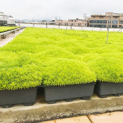 Fácil de montar maceta de plástico para jardín para decoración y verde del jardín