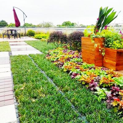 Sistemas de bandejas de techo verde de plástico cuadrado para soluciones de plantación sostenibles