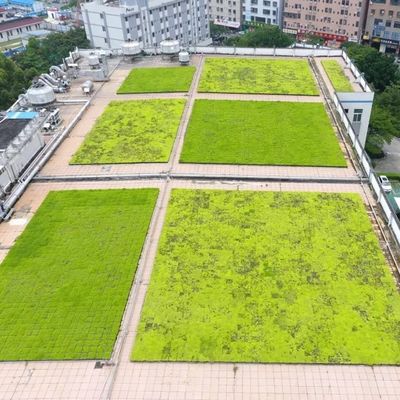 En el caso de las plantas de plantación, el uso de una bandeja de techo verde modular que utilice material de plástico de PP sin revestimiento