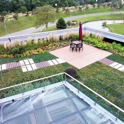 En el caso de las plantas de plantación, el uso de una bandeja de techo verde modular que utilice material de plástico de PP sin revestimiento