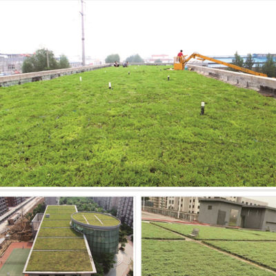 Sistema de bandejas modulares de techo verde Sedum ecológico para plantar flores y verduras