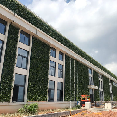 Plantaciones de paredes verticales para espacios de vida creativos