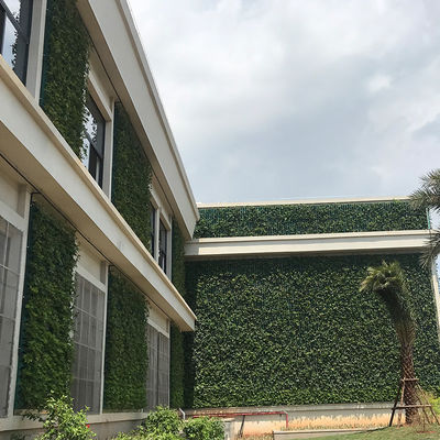 Plantaciones de paredes verticales para espacios de vida creativos
